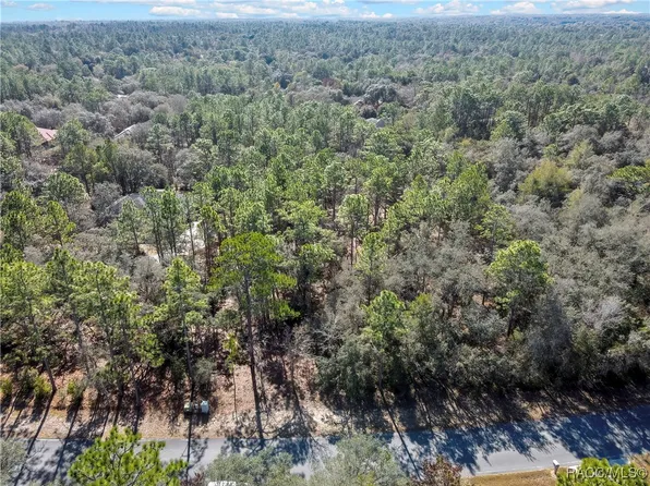 3905 N Longvalley Rd, Hernando, FL 34442