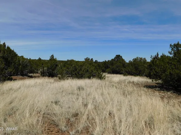 4 County Road 3046, Concho, AZ 85924