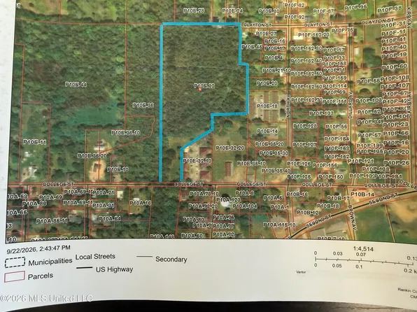 College St, Pelahatchie, MS 39145