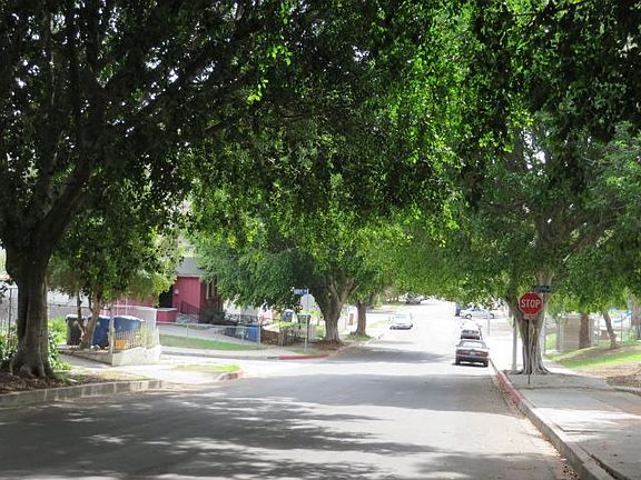 4th image of 4436 Guardia Ave