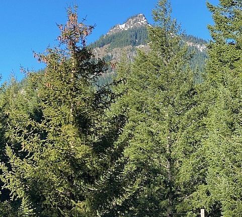 Awesome mountain views of 2 separate mountains from two different areas of the property! 