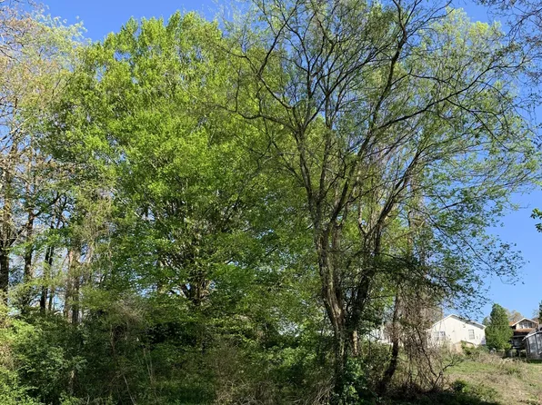 0 Wilson Ave, Knoxville, TN 37914