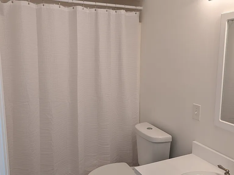 Hall bathroom