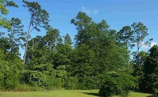 1st image of 400 Rodney St Lot 49