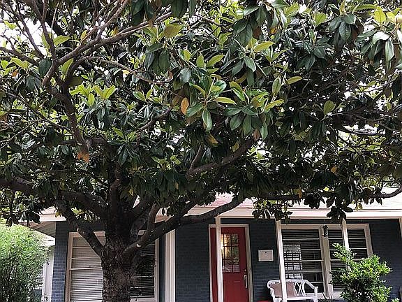 3rd image of 1307 Briarwood Dr