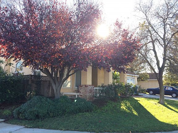 3rd image of 2001 Sugar Pine St