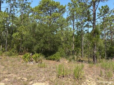 5724 N Durango Ter, Beverly Hills, FL, 34465