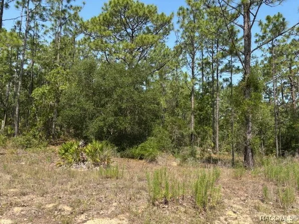 5724 N Durango Ter, Beverly Hills, FL 34465