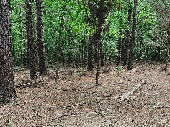 5th image of 0 Sneed Rd