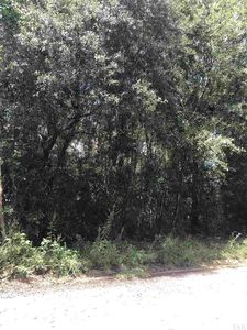 785 Chippendale Pl, Cantonment, FL, 32533