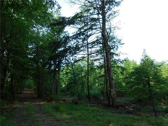 3rd image of 600 Pequawket Trail Trail NW