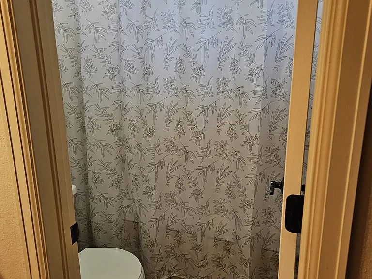 primary bathroom shower and toilet