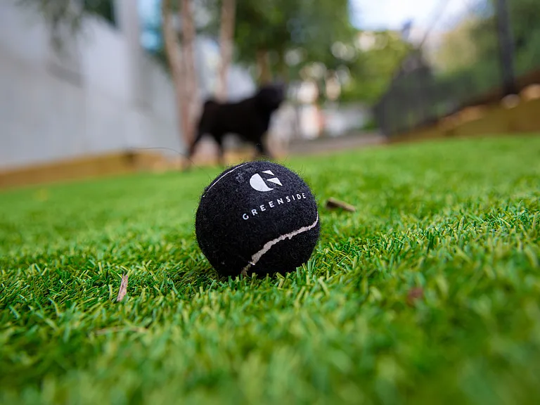 Greenside — Photo 27