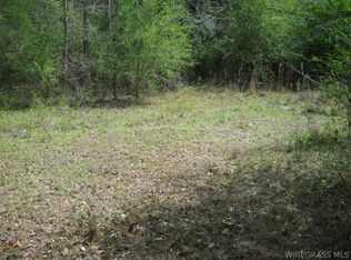 900 Hopeful Church Rd, Ozark, AL 36360