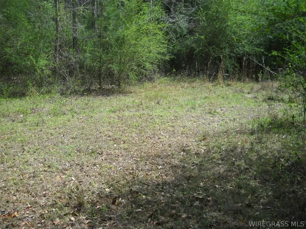 900 Hopeful Church Rd, Ozark, AL 36360