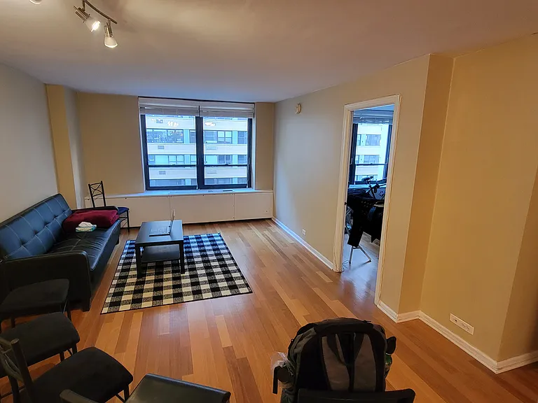 222 E Pearson St #1407 — Photo 10
