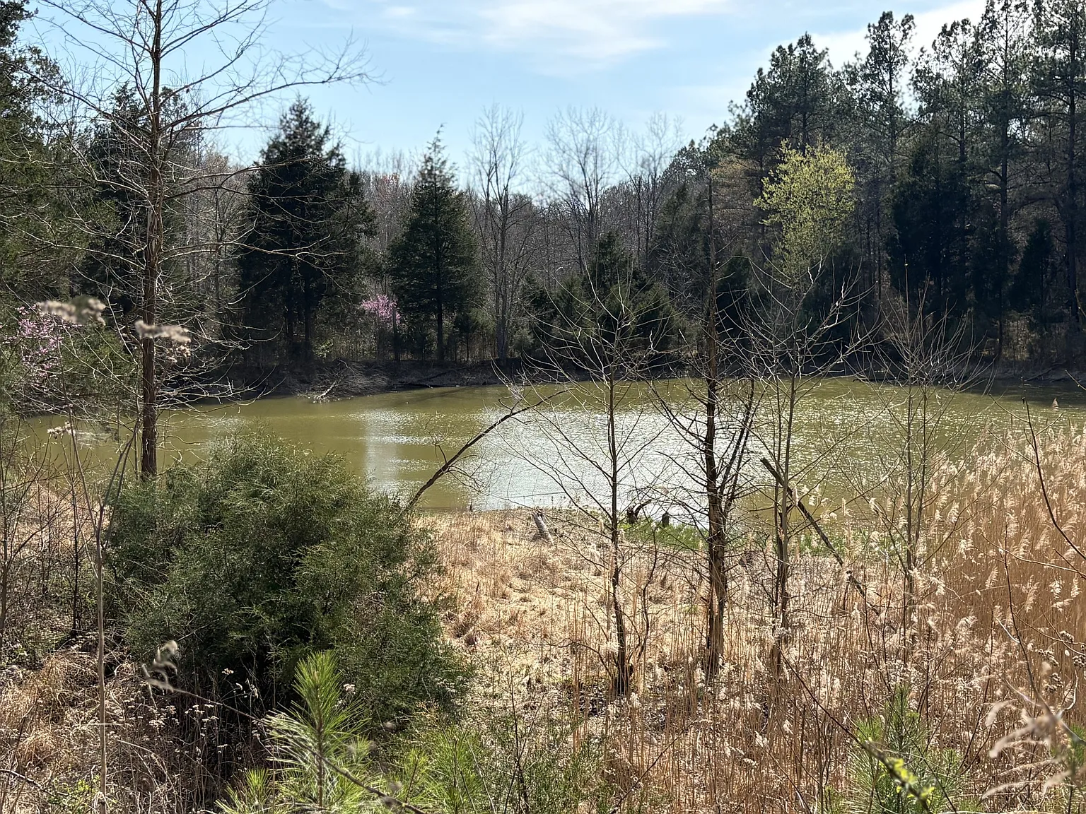 1000 State Route 831 photo 1
