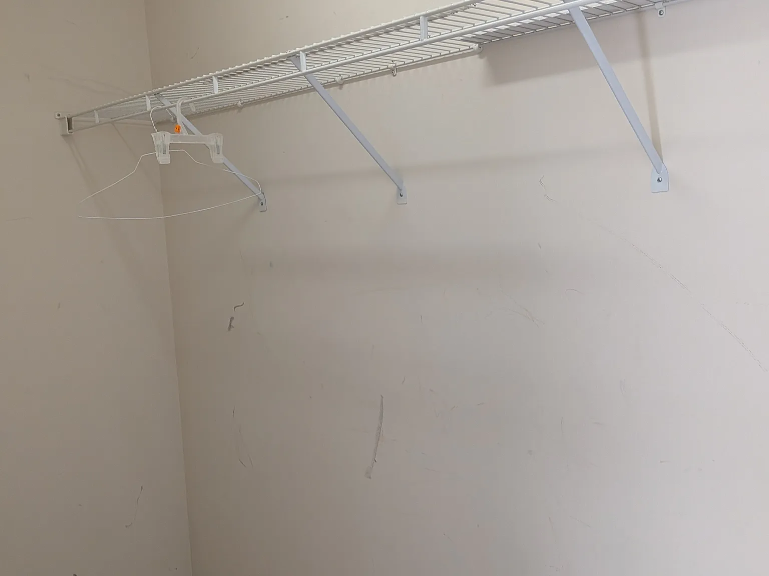 4 bed, 2428 sqft, $799 — Photo 4