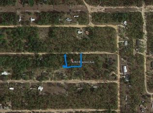 6283 Bowdoin Ave, Keystone Heights, FL 32656