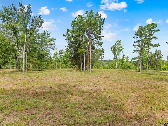2nd image of County Road 4112 Lot 3