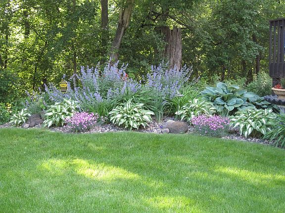 Back Gardens