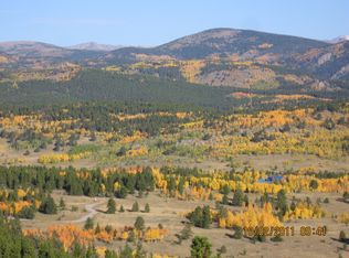 90 Bald Mountain Rd, Central City, CO 80427