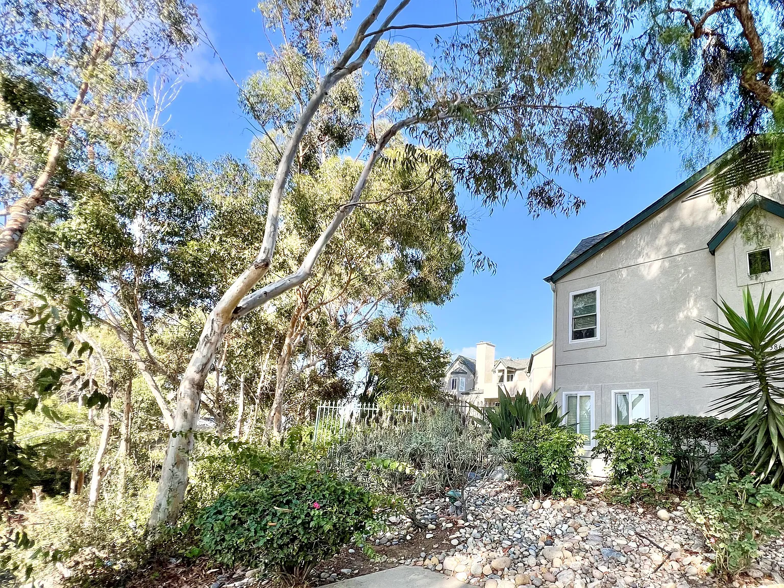 3855 Albatross Street, #2 - 1 — Photo 4