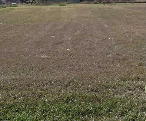 1st image of 308 Lone Oak Ct