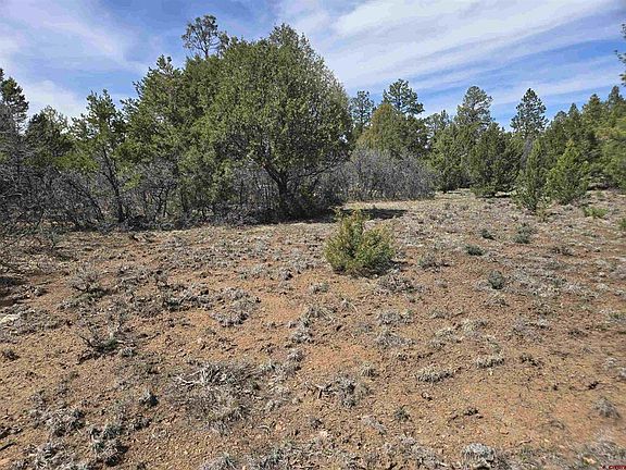 3rd image of TBD Cottontail Lane