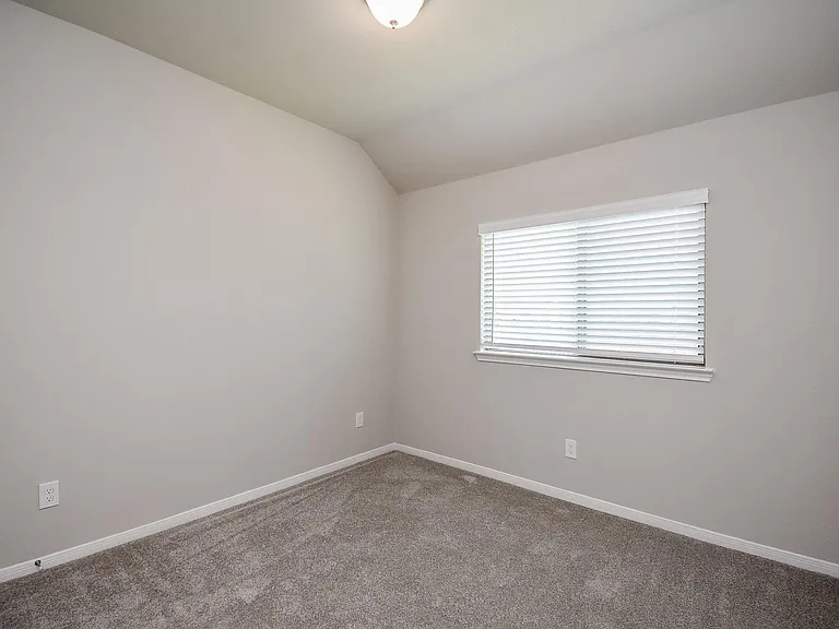 17007 Shine Bright Ct — Photo 23