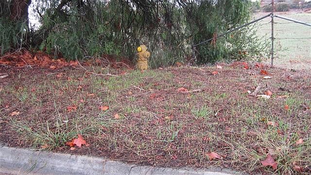 2nd image of 0000 Birch Avenue 3