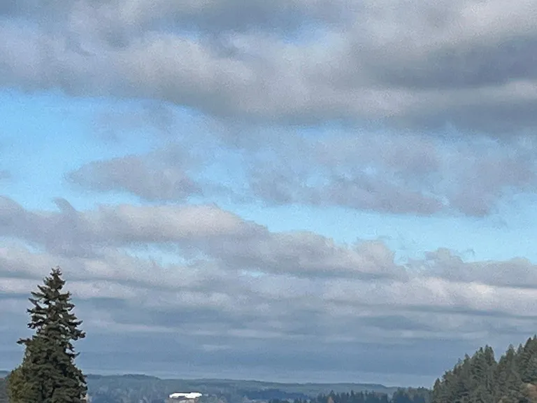 water view .watch the eagles fly by