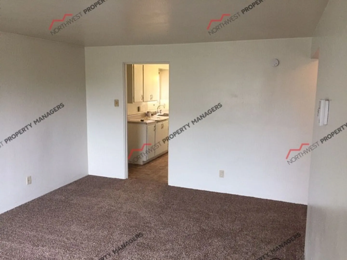 r259 — Photo 3