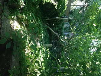 Rented by Corcoran