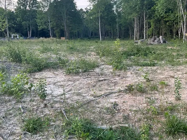 0 Gath Lucky Rd Lot 16, McMinnville, TN 37110