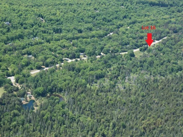 16 S Daisys Way, Kinross, MI 49752