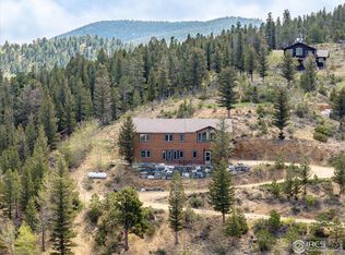 64 Doe Trl, Nederland, CO 80466