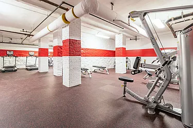 Rented by Bold New York