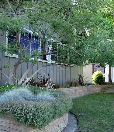 Front yard with raised bed and multi-trunk vitex.