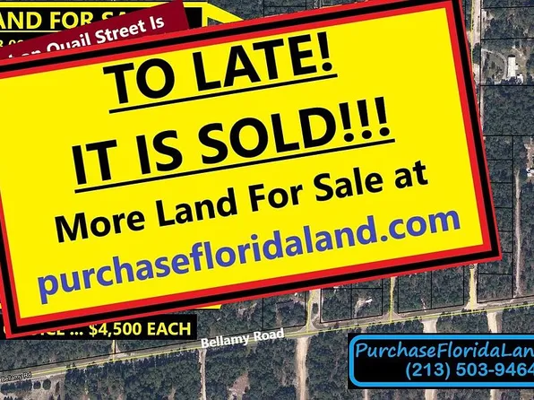 7212 Cardinal St, Florahome, FL 32140