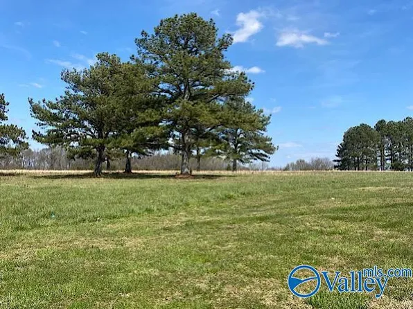 LOT 2 State Highway 251, Ardmore, AL 35739
