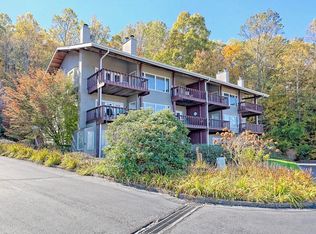 117 Sun Valley Cir, Sky Valley, GA 30537