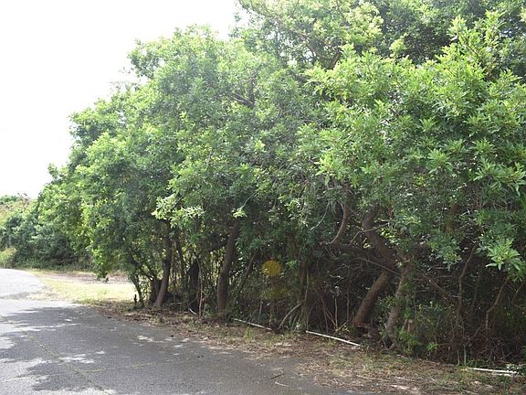 2nd image of Mark Twain St Lot 14