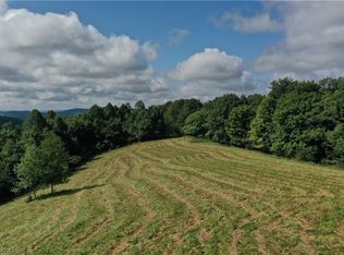 1 Salisbury Rd, Ivydale, WV 25113