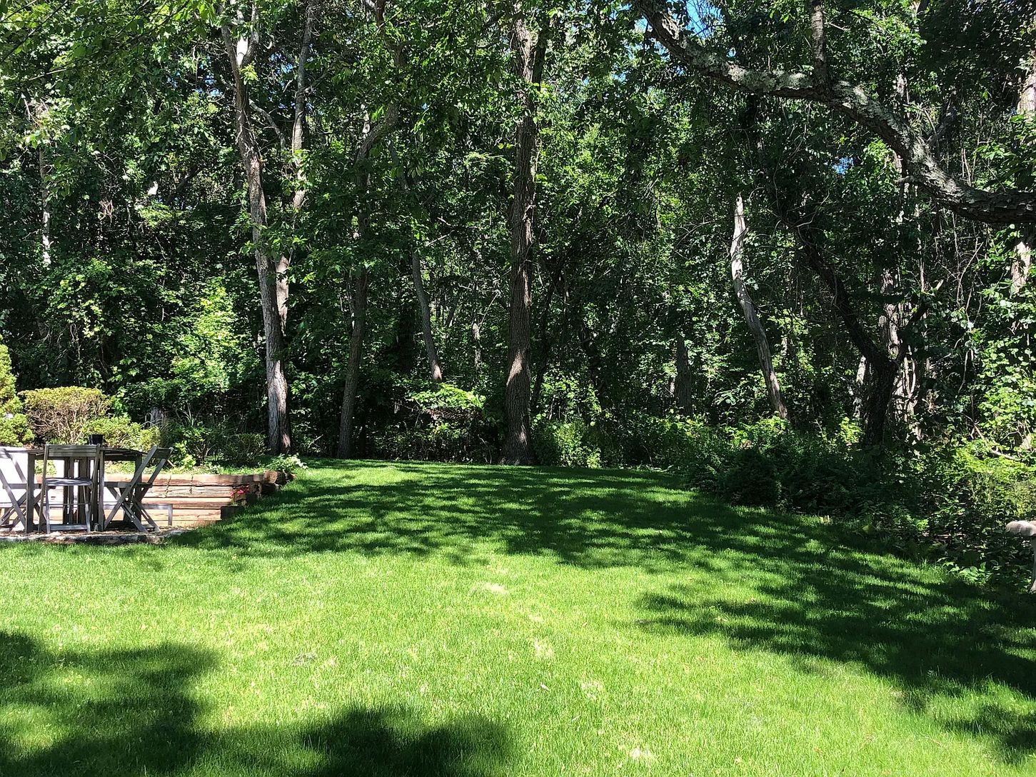  back yard