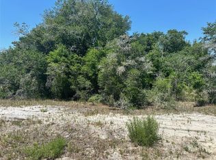 Orange Rd LOT 9, Ocklawaha, FL 32179