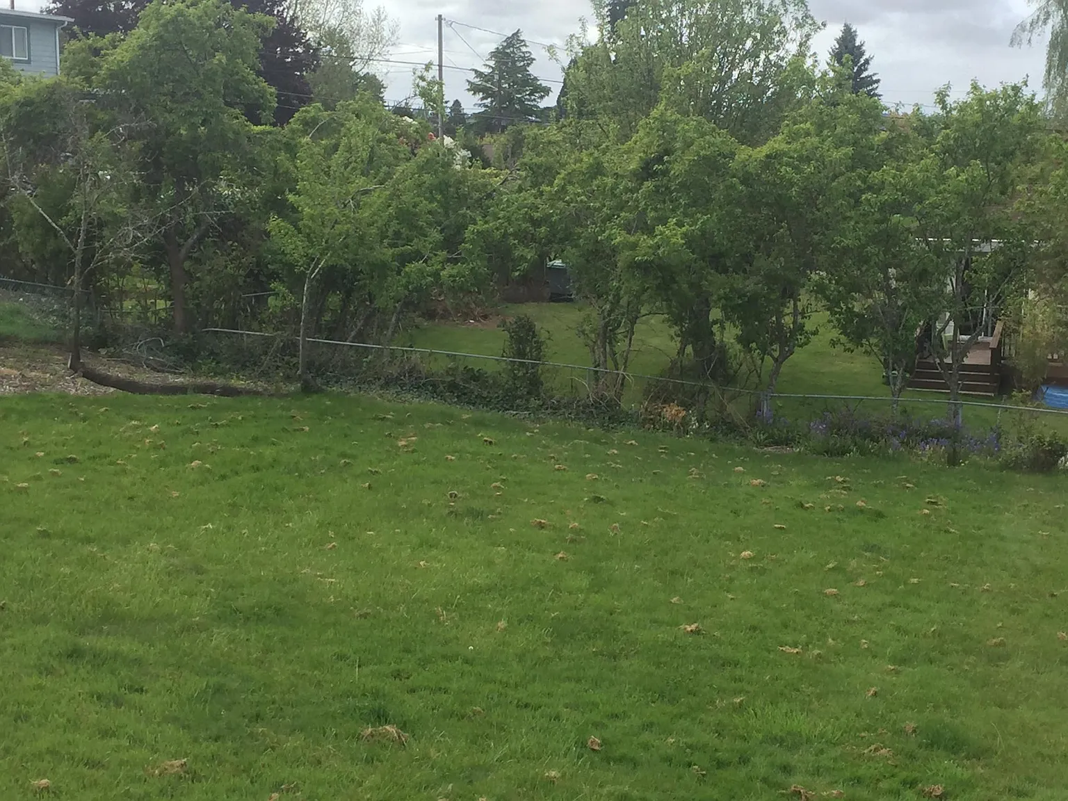 2 bed, 1150 sqft, $1,850 — Photo 4