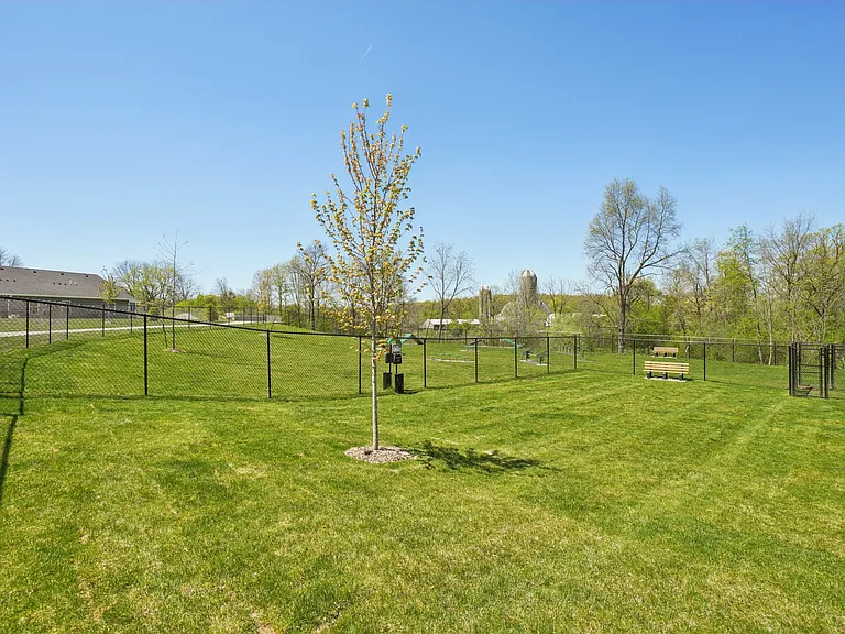 Dog Park