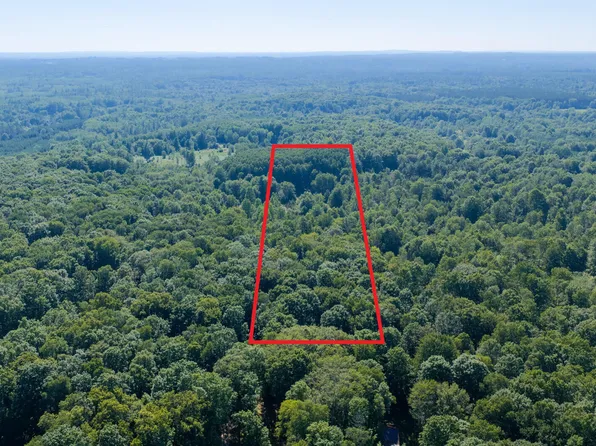 36 N Coe Rd, Luther, MI 49656