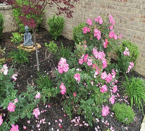 Front Flower Garden
